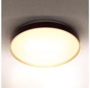 Brilagi - LED stropné svietidlo CALA LED/24W/230V