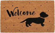 Hnedá kokosová rohožka s jazvečíkom Welcome - 75*45*1 cm