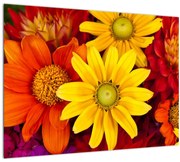 Obraz kvetov (70x50 cm)