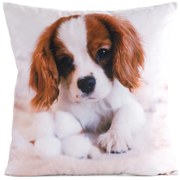 DETSKÁ DEKORAČNÁ OBLIEČKA NA VANKÚŠ ANIMAL72 45X45 CM VZOROVANÁ