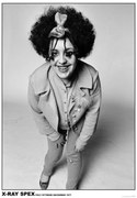 Plagát, Obraz - Poly Styrene / X-Ray Spex - Dress