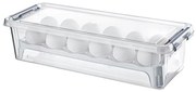Box na vajíčka, obal na 12ks vajec, FRESH
