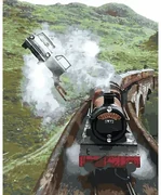 Maľovanie podľa čísel bez rámu ROKFORT EXPRESS