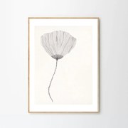 The Poster Club Plagát Poppy by Ana Frois 30x40 cm