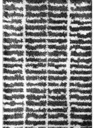 Koberec Shaggy Harmony 0,8/1,5 3490A HRG63