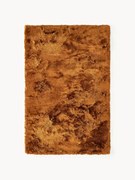 Lesklý koberec's vysokým vlasom Jimmy