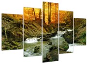 Obraz - Les (150x105 cm)