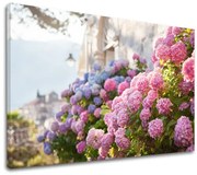 Obraz na stenu RUŽOVÉ KVETY_157-11 | rôzne rozmery