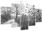 Obraz - Pole v zime (150x105 cm)