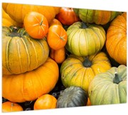 Obraz - Jesenná tekvica (70x50 cm)
