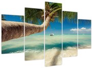 Obraz - Čisté more s palmou (150x105 cm)