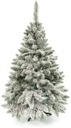 Vianočný stromček Borovica zasnežená 220 cm
