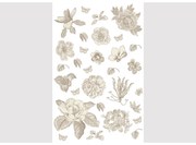 Samolepiaca dekoracia Old Graphics Florals, 42,5 x 65 cm