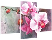 Obraz - Orchidey, aquarel (90x60 cm)