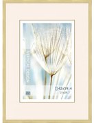 Fotorám 42x59,4, 2/1