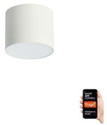 Immax Neo 07241L - LED Stmievateľné svietidlo RONDATE 18W/230V 11,5cm Wi-Fi Tuya IM1318