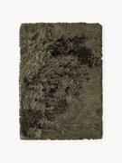 Lesklý koberec's vysokým vlasom Jimmy