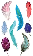 3D Samolepky Feather, 8 x 14 cm