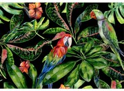 Plátno maľba Tropical Birds