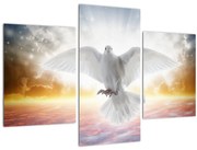 Obraz holubice (90x60 cm)