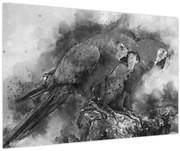 Obraz - Akvareloví papagáje (90x60 cm)
