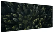 Obraz - Les (120x50 cm)