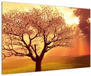 Obraz lúčov Boha (90x60 cm)