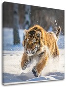 Obraz na stenu ZVIERATÁ_048-12 | rôzne rozmery