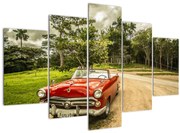 Obraz - auto veterán v prírode (150x105 cm)