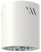 Stropné svietidlo George, 1x biele kovové tienidlo