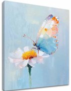 Obraz Motýľa - Pastelový deň