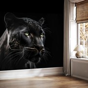 Fototapeta - Čierny panter (147x102 cm)