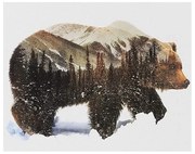 783585 NORIMPEX 5D Diamantová mozaika - Medveď v zime