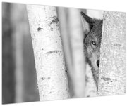 Obraz - Vlk v lese (90x60 cm)