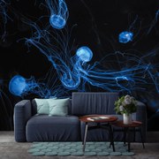 Fototapeta - Medúzy (147x102 cm)