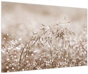 Obraz - Lúka v hnedých tónoch (90x60 cm)