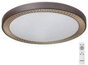 Rabalux - Stmievateľné LED stropné svietidlo LED/40W/230V + DO 3000-6000K