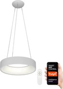 Immax NEO 07020L- LED Stmievateľný luster na diaľkové ovládanie AGUJERO LED/30W/230V