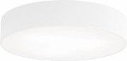 LED Stropné svietidlo CLEO LED/43W/230V 3000K pr. 40 cm biela