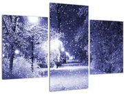 Obraz - Čarovná zimná noc (90x60 cm)