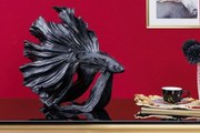 Ozdobná rybka Crowntail 35cm čierna