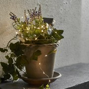 Star trading Solárne LED vonkajšie osvetlenie DEWDROP 50x LED 250 cm