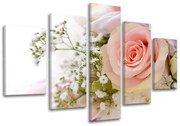 Obraz na stenu KVETY | rôzne rozmery