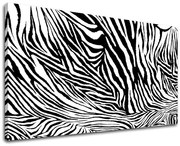 Obraz na stenu ABSTRAKT | rôzne rozmery