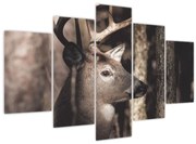 Obraz - Jeleň v lese (150x105 cm)