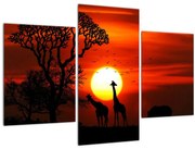 Obraz - Siluety zvierat pri západe slnka (90x60 cm)