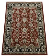 Kusový koberec Lotus 9305 red, 60 x 90 cm, 60 x 90 cm