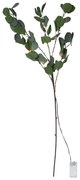 Zelená LED svetelná dekorácia Star Trading Eucalyptus, dĺžka 90 cm