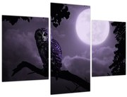 Obraz - Nočná sova, fialová (90x60 cm)