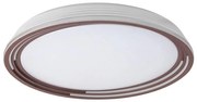 Rabalux - LED Stmievateľné stropné svietidlo LED/36W/230V